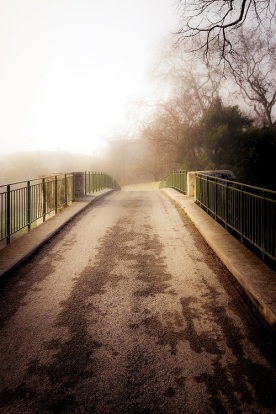 bridge in mist s