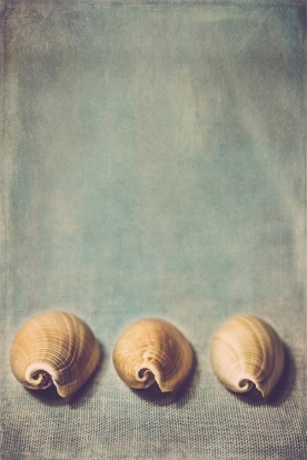 three shells s